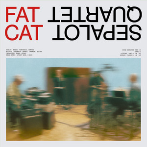 Sun Upside by Sepalot Quartet, Sepalot, Matthias Lindermayr, Fabian Füss, Robin Jermer