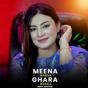 Meena Wakhla Ghara Wakhla