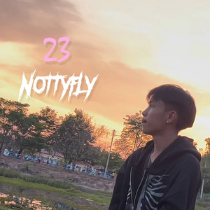 23