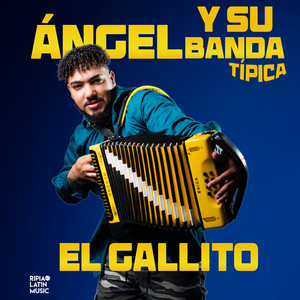 Angel Y Su Banda Tipica - El Gallito