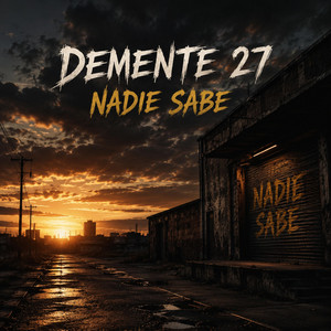 Nadie sabe by Demente 27