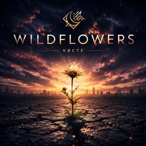 Wildflowers by Nøcte