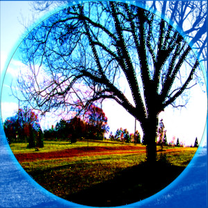 Soothing Background Ambiance album