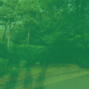 Bubbly Ambiance for Clearing The Mind album
