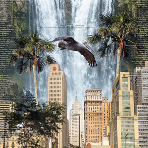 Super Pelicano by Klaf