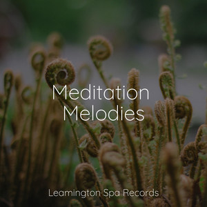 Meditation Melodies album