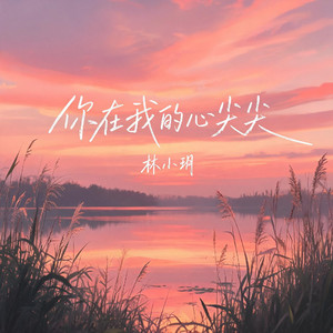 你在我的心尖尖 by 林小玥