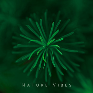 Nature Vibes: Relaxing Sounds for Meditation, Studying or Sleeping & 8D Audio Music album