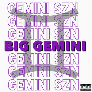 GOTDAMNZO - Big Gemini