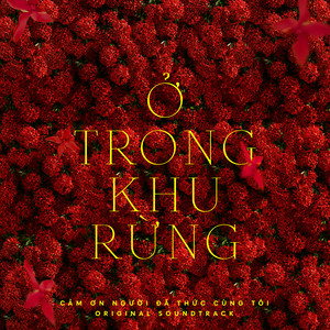 Nguyễn Hùng & 30 Pictures - Ở Trong Khu Rừng