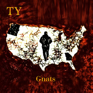 Gnats (Pressing On Freestyle) by TY