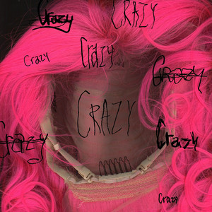 Crazy Crazy Crazy Crazy by TYANA