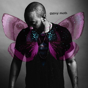 Portada de Gypsy Moth