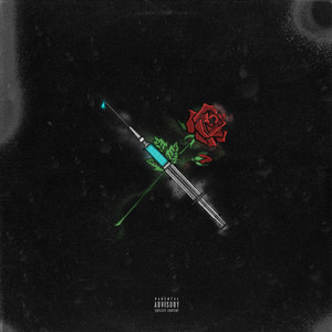 1Day - Роузэс & Доузес