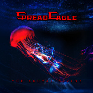 Forbidden Local Honey - Radio Edit by Spread Eagle