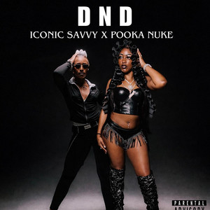 DND (feat. POOKA NUKE) by Iconic Savvy, POOKA NUKE