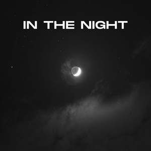 In The Night by Techno Bali