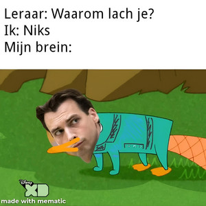 thierry het vogelbekdier