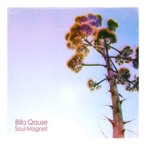 Soul Magnet by Billa Qause