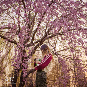 徒桜 by S.A.D Force
