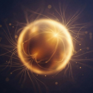 Gold Haze by DJ Crysson