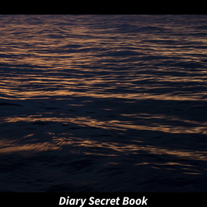 Diary Secret Book by ade wahyu kelana