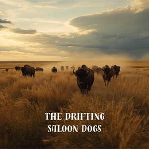 I'm Free by The Drifting Saloon Dogs