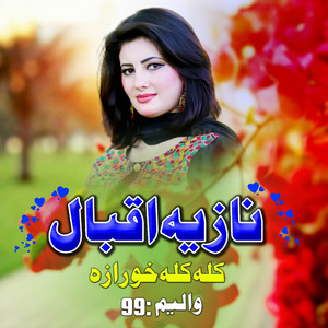 Nazia Iqbal - Ta Che zamana Shawe Joda