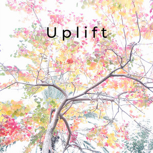 Uplift by Miri Bitton