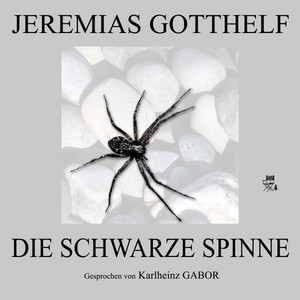 Die schwarze Spinne