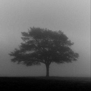 are you really fine? - i'm sorry i couldn't keep my promise