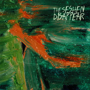 Disappear by The Seshen