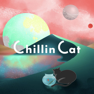 Reflections by Chillin Cat