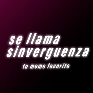 tu meme favorito - Se Llama Sinverguenza