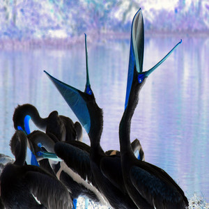 Reginald Staples Strictmaximus - Time Sensitive