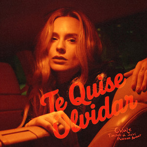 Te Quise Olvidar
