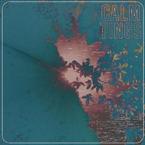 CALM TINGS - Mad Runner