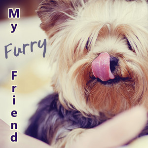 My Furry Friend - Stress Relief, Sleep Aids, Music Therapy for Dogs, Comfort and Happiness with Nature Sounds album