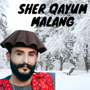 SHER QAYUM MALANG - Tiktok Pashto song