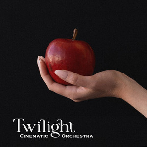 Pale Reflection by Twilight Cinematic Orchestra