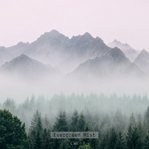 Evergreen Mist by Calil