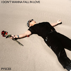 I DON'T WANNA FALL IN LOVE by Pyscee