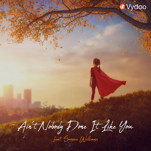 Ain't Nobody Done It Like You by Vydoo, Sunnie Williams