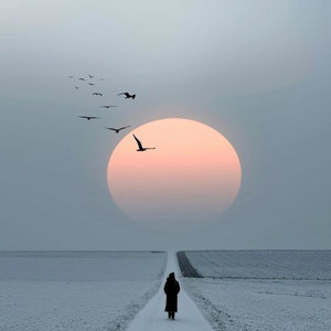 Velvet Echoes Before Fajr by Al Nasheeds