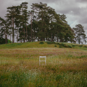 Wandering Sheep by George Croucher