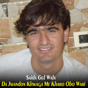 Saida Gul Wafa - Krama Stari Faryadona Da Shpe