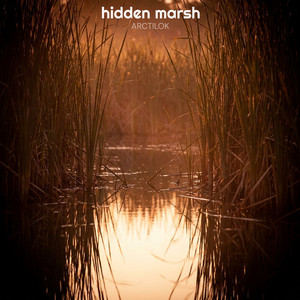 Hidden Marsh by Arctilok