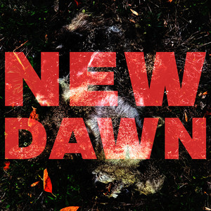 New Dawn by Thriftworks
