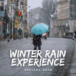 Ambient Rain: Winter Rain Experience album