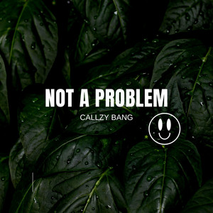 Not a Problem by Callzy Bang